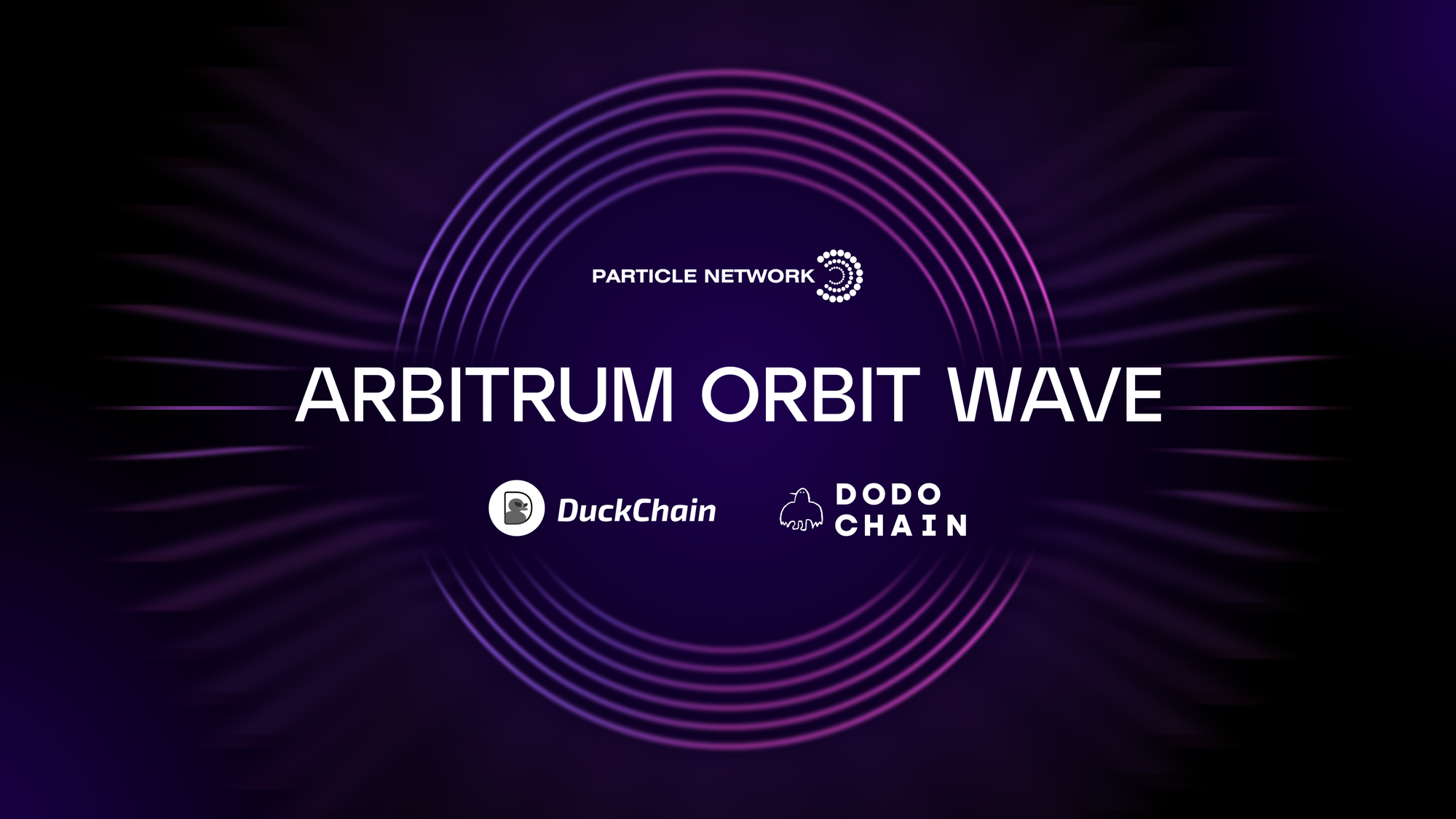 Chain Abstraction Coalition: Our Arbitrum Orbit Co-Testnet Is Live on Particle Pioneer!