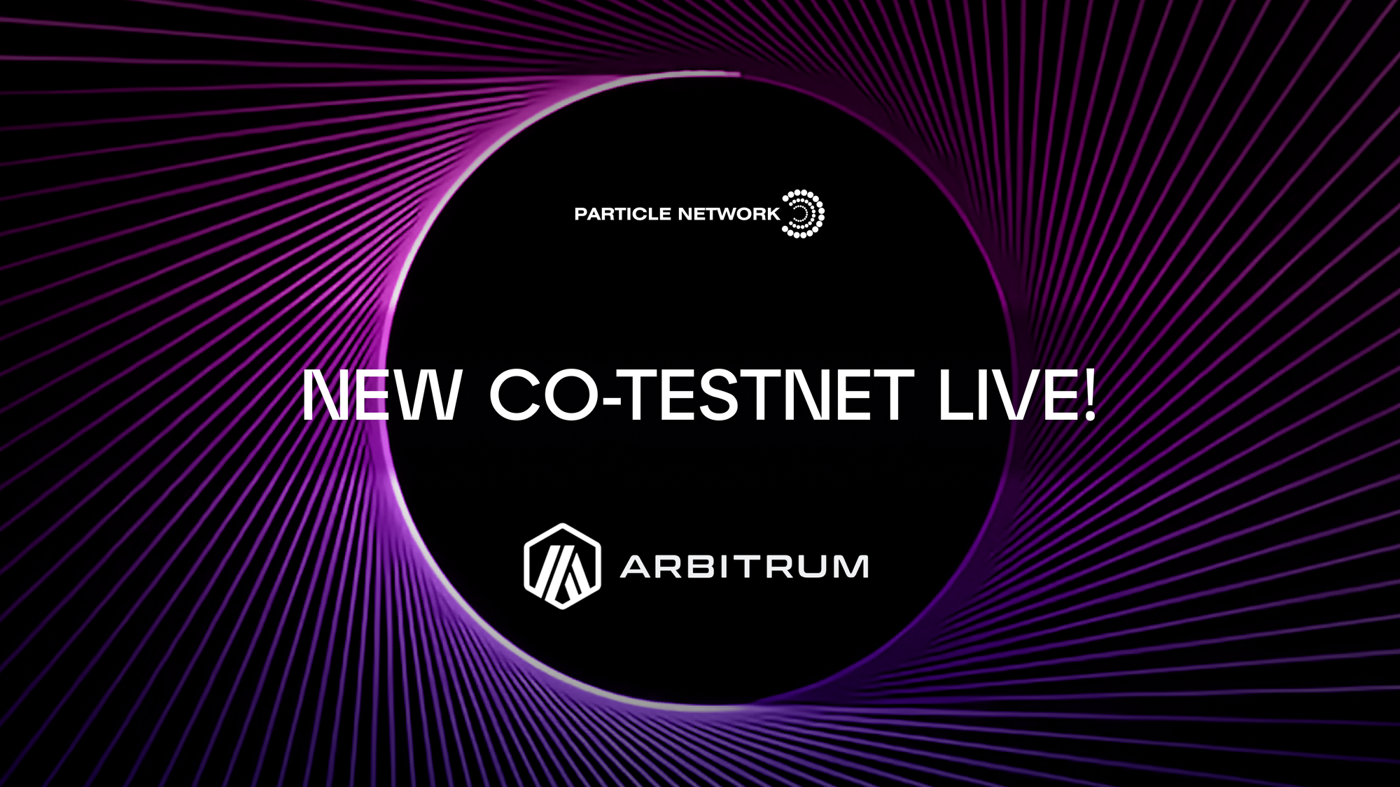 Chain Abstraction Coalition: Our Arbitrum Co-Testnet Is Live on Particle Pioneer!