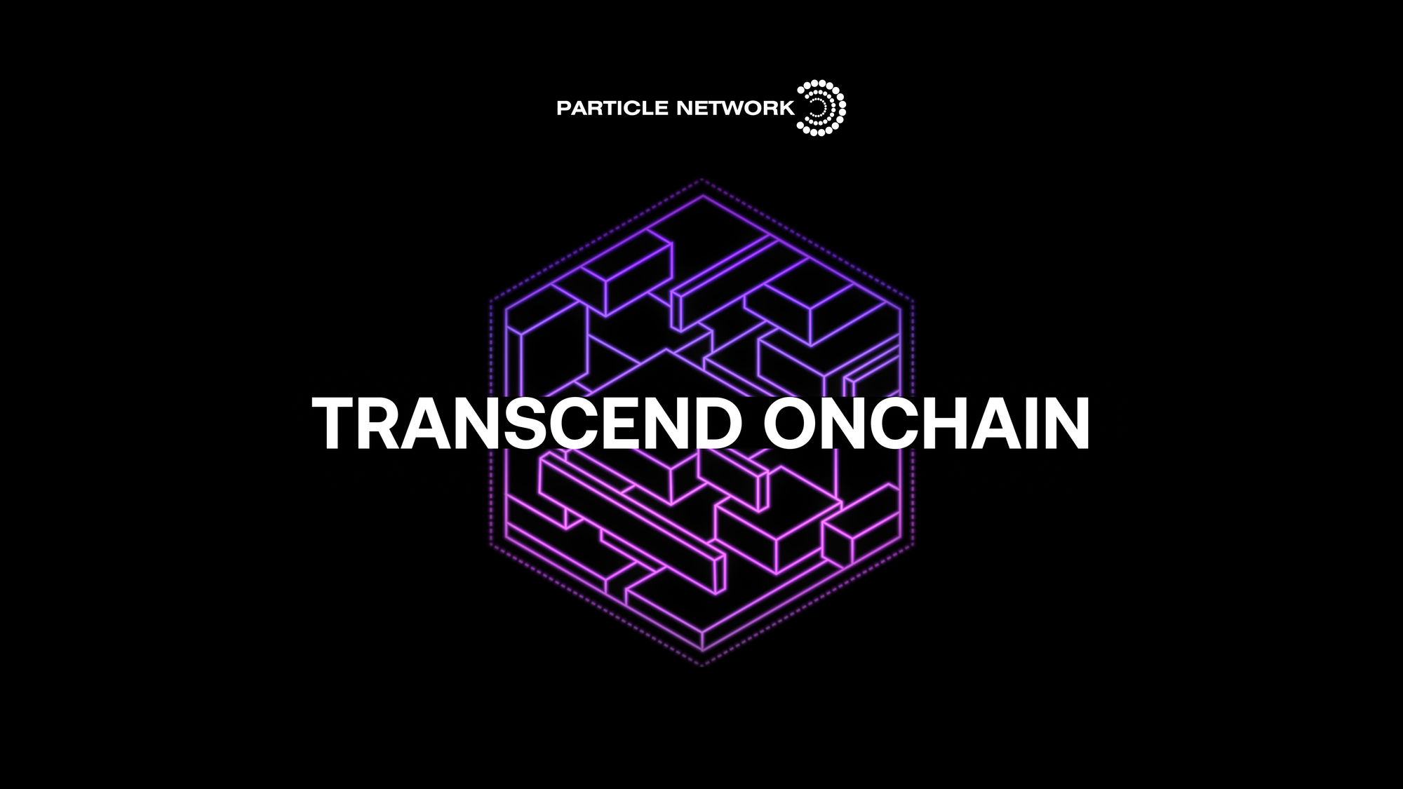 Particle Network